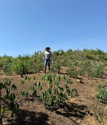 La segunda oportunidad de una mujer en el campo magdalenense