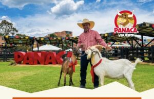 PANACA VIAJERO llega a Santa Marta