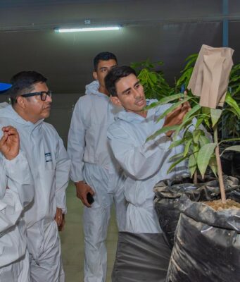 Programa de Ingeniería Agronómica renueva su Acreditación en Alta Calidad