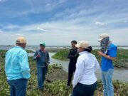 CORPAMAG investiga mortandad de peces en el caño Peñoncito, San Zenón