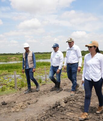 CORPAMAG continúa acciones para recuperar la Ciénaga Grande con el mantenimiento del Caño Condazo