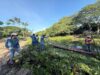 CORPAMAG realiza limpieza de Caño Ciego para beneficio de las comunidades