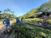 CORPAMAG realiza limpieza de Caño Ciego para beneficio de las comunidades