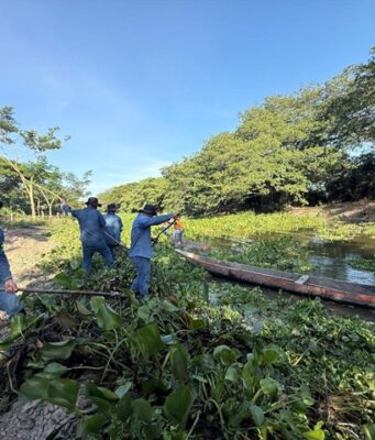 CORPAMAG realiza limpieza de Caño Ciego para beneficio de las comunidades
