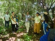 UNIMAGDALENA se suma a la apuesta por conservar el bosque seco tropical y recuperar el río Manzanares
