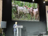 FEDEGÁN presentó en Francia potencial de la ganadería sostenible colombiana