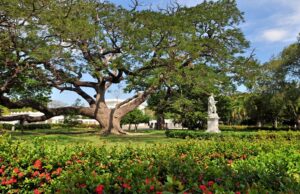 CAF y Jardín Botánico de N.Y. impulsan apoyo para el río Manzanares y el Jardín QSPA